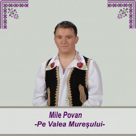 Pe Valea Muresului
