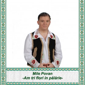 Am tri flori in palarie