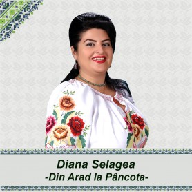 Din Arad la Pancota