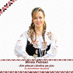 Am plecat cândva pe jos