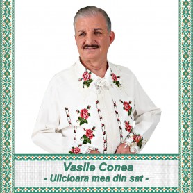 Ulicioara mea din sat